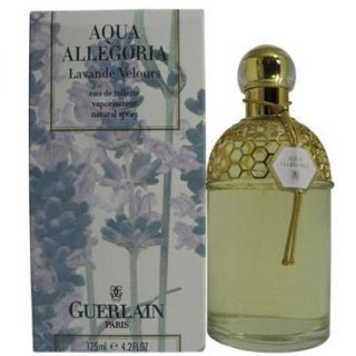 Aqua Allegoria Lavande Velours