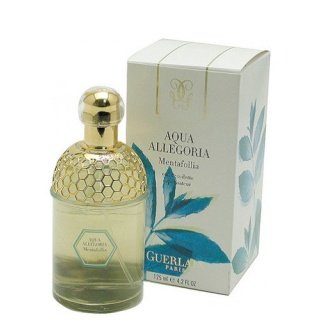 Aqua Allegoria Mentafollia