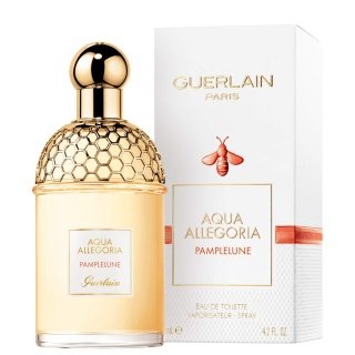 Aqua Allegoria Pamplelune