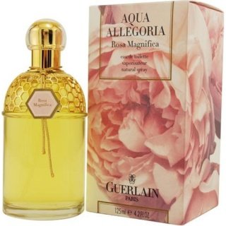 Aqua Allegoria Rosa Magnifica