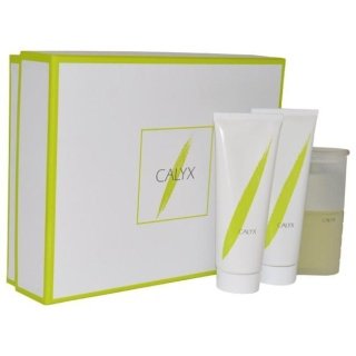 Calyx by Prescriptives, 3 piece gift set for women