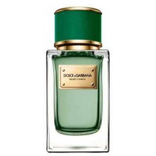 Dolce & Gabbana Velvet Cypress