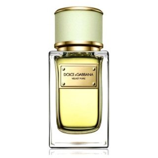 Dolce & Gabbana Velvet Pure