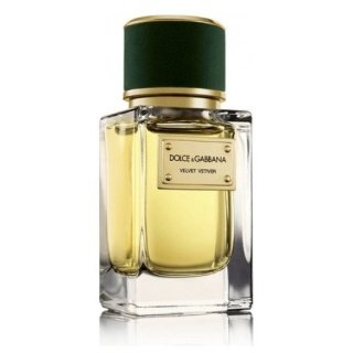 Dolce & Gabbana Velvet Vetiver 