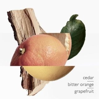 Terre d’Hermès Eau Très Fraîche