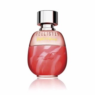 Hollister Festival Vibes