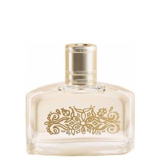 Hollister Sol Dreamer