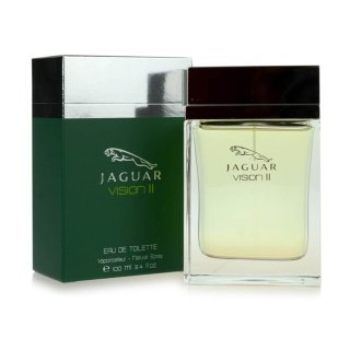 Jaguar Vision II