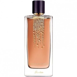 Rose Nacree Du Desert 