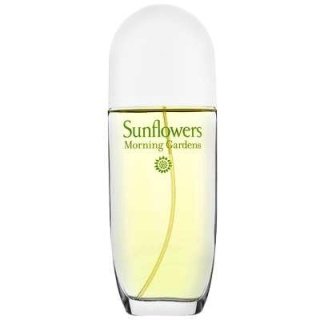 Sunflowers Morning Gardens