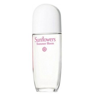 Sunflowers Summer Bloom 