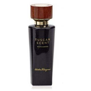 Tuscan Scent White Mimosa