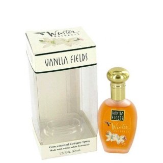 Vanilla Fields Winter