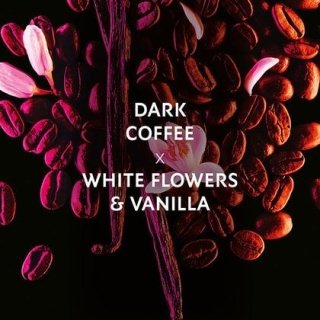 Pre-Wrapped Black Opium